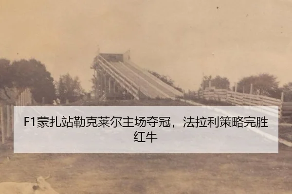 meng-zha-zhan-lei-ke-lai-er-zhu-chang-duo-guan-fa-la-li-ce-lve-wan-sheng-hong-niu-2-355.jpg